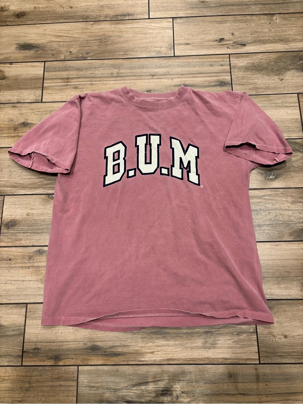 Vintage 90s BUM Equipment Spellout Tee Faded Pink Rose Distressed Streetwear L
